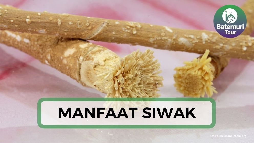 4 Manfaat Siwak, Cegah Bau Mulut dan Gigi Berlubang